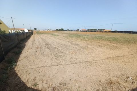 Terra a Palmela, Setubal, Palmela - € 800/mes | Ref: CC_TER_17606 - foto 16