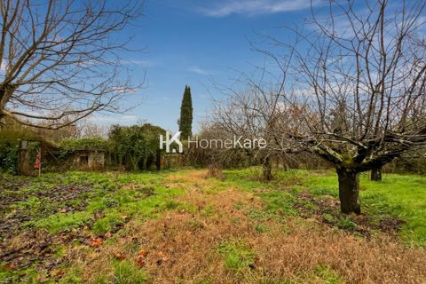 Villa i Saint-Sulpice-la-Pointe, Tarn, Saint-Sulpice-la-Pointe - € 265.000 | Ref: VM4723-6-HOMEKARE-HK - foto 15