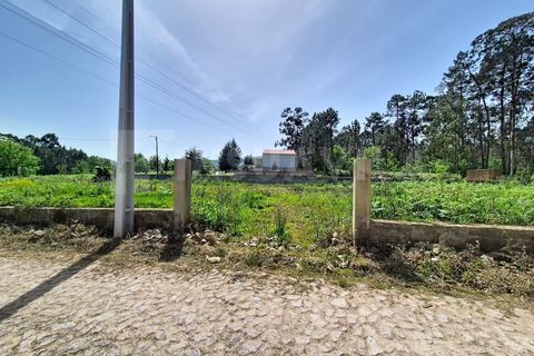Helårsgrund i Valenca, Viana do Castelo, Valenca - € 57.000 | Ref: 2814 - foto 3