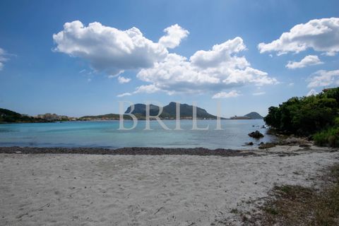 Villa i Golfo Aranci, Olbia Tempio, Golfo Aranci - € 590.000 | Ref: GA-008CP - foto 24