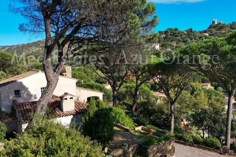 Villa i Grimaud, Var, Grimaud - € 1.780.000 | Ref: 86392091 - foto 17
