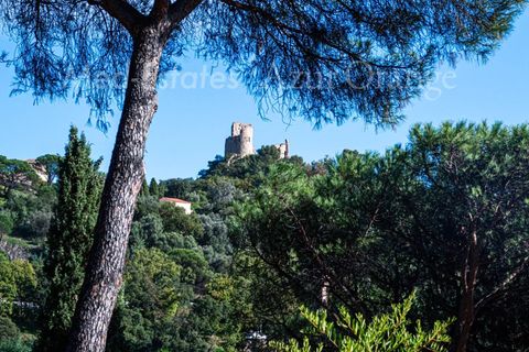 Villa i Grimaud, Var, Grimaud - € 1.780.000 | Ref: 86392091 - foto 23