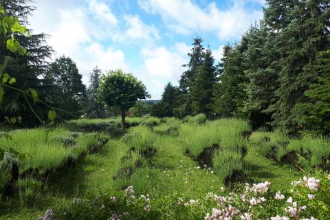 Villa i Ciran, Indre-et-Loire, Ciran - € 580.000 | Ref: 36183 - foto 5