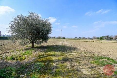 Villa i Cesena, Forli-Cesena, Cesena - € 300.000 | Ref: G-C3-040 - foto 5