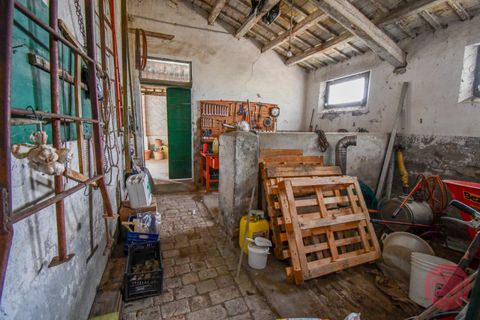 Villa i Cesena, Forli-Cesena, Cesena - € 300.000 | Ref: G-C3-040 - foto 43