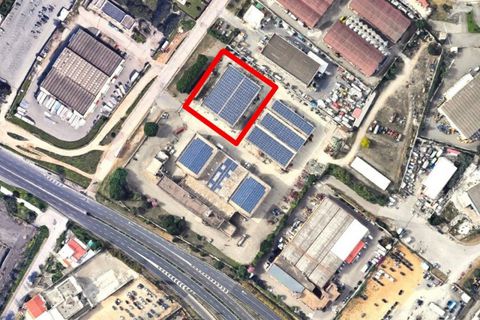Erhvervsejendom i Elmas, Cagliari, Elmas - € 1.752.350 | Ref: 2639049 - foto 17