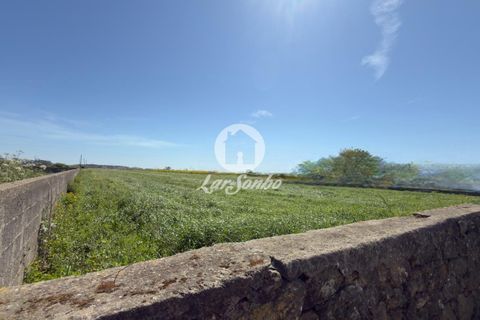 Helårsgrund i Vila do Conde, Porto, Vila do Conde - € 1.065.000 | Ref: 240-T-26239 - foto 3