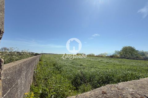 Helårsgrund i Vila do Conde, Porto, Vila do Conde - € 1.065.000 | Ref: 240-T-26239 - foto 5