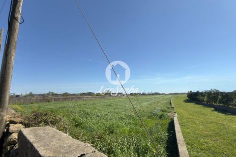 Helårsgrund i Vila do Conde, Porto, Vila do Conde - € 1.065.000 | Ref: 240-T-26239 - foto 6