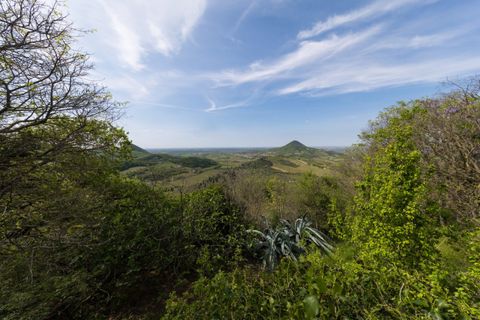 Landejendom i Cinto Euganeo, Padua, Cinto Euganeo - € 565.000 | Ref: RUST 239 - foto 5