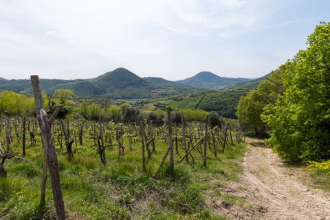 Landejendom i Cinto Euganeo, Padua, Cinto Euganeo - € 565.000 | Ref: RUST 239 - foto 6
