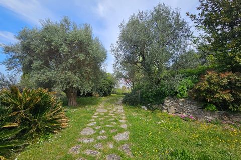 Landejendom i Cinto Euganeo, Padua, Cinto Euganeo - € 565.000 | Ref: RUST 239 - foto 9