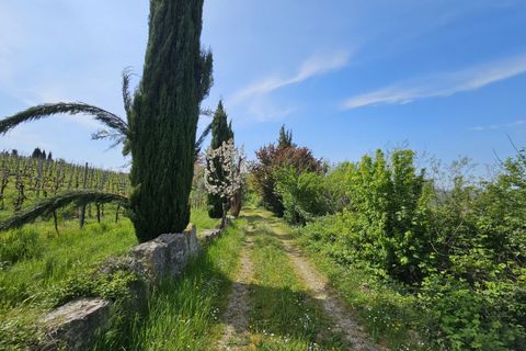 Landejendom i Cinto Euganeo, Padua, Cinto Euganeo - € 565.000 | Ref: RUST 239 - foto 14