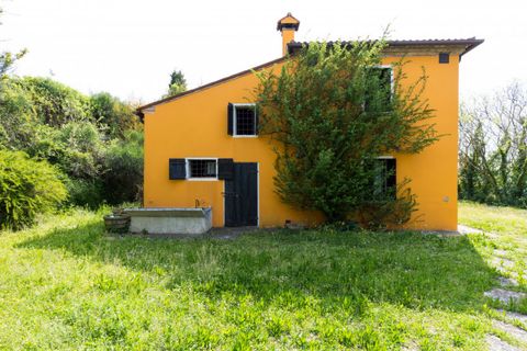 Landejendom i Cinto Euganeo, Padua, Cinto Euganeo - € 565.000 | Ref: RUST 239 - foto 15