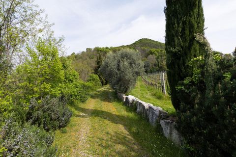 Landejendom i Cinto Euganeo, Padua, Cinto Euganeo - € 565.000 | Ref: RUST 239 - foto 16