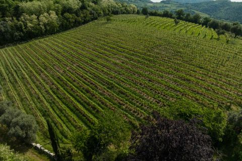 Landejendom i Cinto Euganeo, Padua, Cinto Euganeo - € 565.000 | Ref: RUST 239 - foto 25