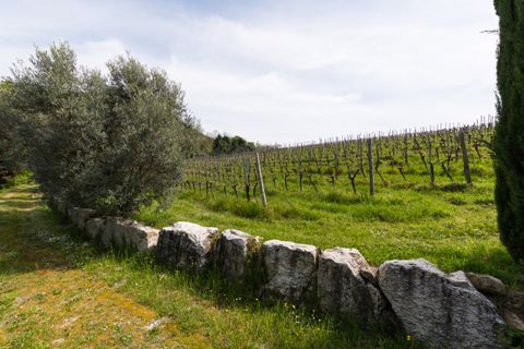 Landejendom i Cinto Euganeo, Padua, Cinto Euganeo - € 565.000 | Ref: RUST 239 - foto 28