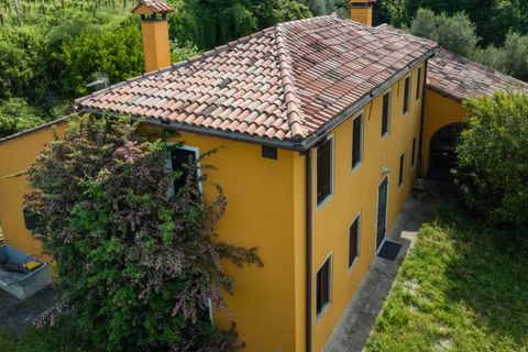 Landejendom i Cinto Euganeo, Padua, Cinto Euganeo - € 565.000 | Ref: RUST 239 - foto 30