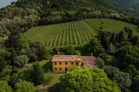 Landejendom i Cinto Euganeo, Padua, Cinto Euganeo - € 565.000 | Ref: RUST 239 - foto 32