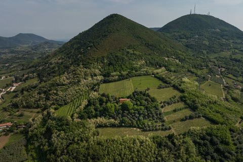 Landejendom i Cinto Euganeo, Padua, Cinto Euganeo - € 565.000 | Ref: RUST 239 - foto 33