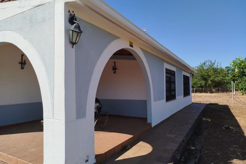 Villa i Badajoz, Badajoz, Badajoz - € 395 000 | Ref: BA-2025-036/12527 - foto 11