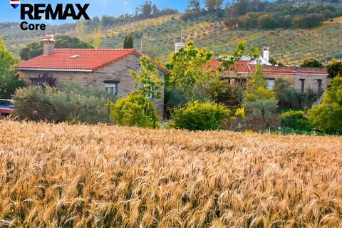 Landejendom i Puebla De Obando, Badajoz, Puebla De Obando - € 295.000 | Ref: BA-2025-042/12527 - foto 15