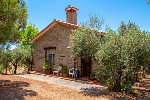 Landejendom i Puebla De Obando, Badajoz, Puebla De Obando - € 295.000 | Ref: BA-2025-042/12527 - foto 19