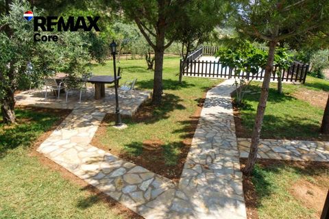 Landejendom i Puebla De Obando, Badajoz, Puebla De Obando - € 295.000 | Ref: BA-2025-042/12527 - foto 24