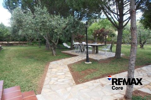 Landejendom i Puebla De Obando, Badajoz, Puebla De Obando - € 295.000 | Ref: BA-2025-042/12527 - foto 25