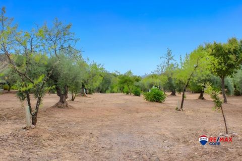 Landejendom i Puebla De Obando, Badajoz, Puebla De Obando - € 295.000 | Ref: BA-2025-042/12527 - foto 30