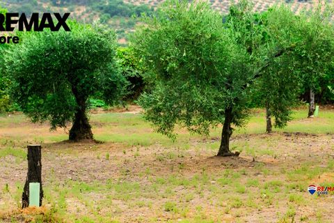 Landejendom i Puebla De Obando, Badajoz, Puebla De Obando - € 295.000 | Ref: BA-2025-042/12527 - foto 31
