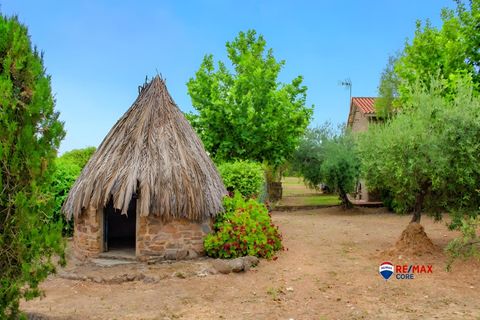 Landejendom i Puebla De Obando, Badajoz, Puebla De Obando - € 295.000 | Ref: BA-2025-042/12527 - foto 32