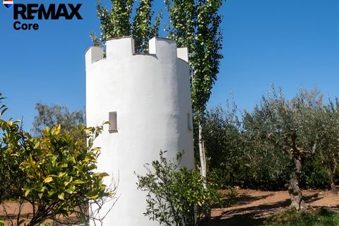 Landejendom i Puebla De Obando, Badajoz, Puebla De Obando - € 295.000 | Ref: BA-2025-042/12527 - foto 33