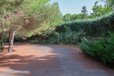 Cortijo i Plasencia, Caceres - foto 5