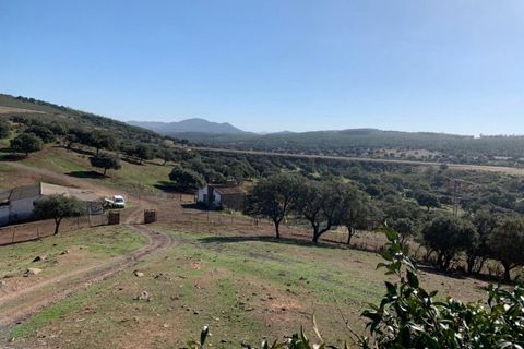 Terra a Garbayuela, Badajoz, Garbayuela - € 2.900.000 | Ref: BA-2025-61/12527 - foto 6