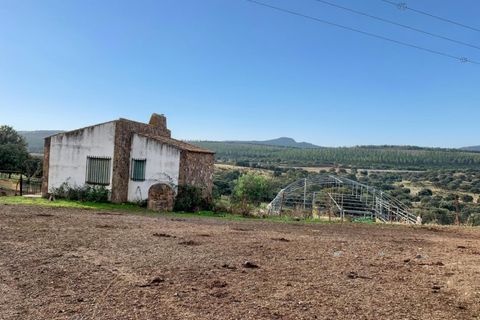 Terra a Garbayuela, Badajoz, Garbayuela - € 2.900.000 | Ref: BA-2025-61/12527 - foto 9