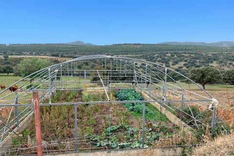 Terra a Garbayuela, Badajoz, Garbayuela - € 2.900.000 | Ref: BA-2025-61/12527 - foto 11