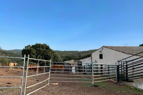 Terra a Garbayuela, Badajoz, Garbayuela - € 2.900.000 | Ref: BA-2025-61/12527 - foto 15