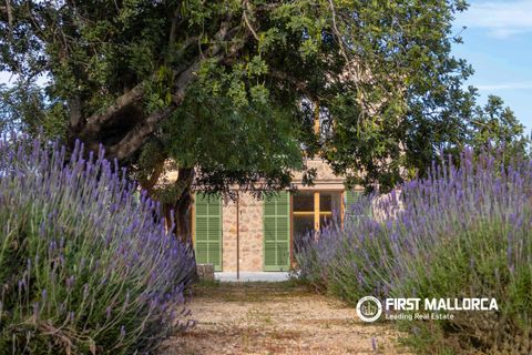 Landejendom i Alaro, Mallorca, Alaro - € 4.900.000 | Ref: 83572 - foto 3