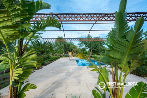 Landejendom i Alaro, Mallorca, Alaro - € 4.900.000 | Ref: 83572 - foto 20