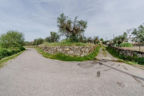 Helårsgrund i Belmonte, Castelo Branco, Belmonte - € 43.000 | Ref: 111260094 - foto 4