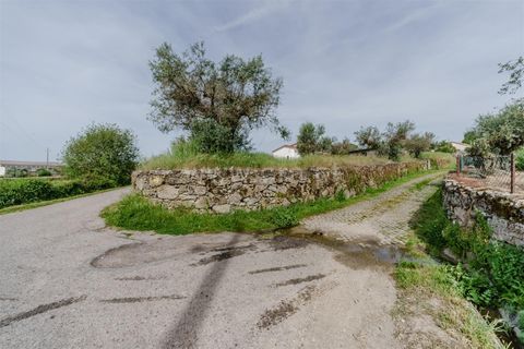 Helårsgrund i Belmonte, Castelo Branco, Belmonte - € 43.000 | Ref: 111260094 - foto 5