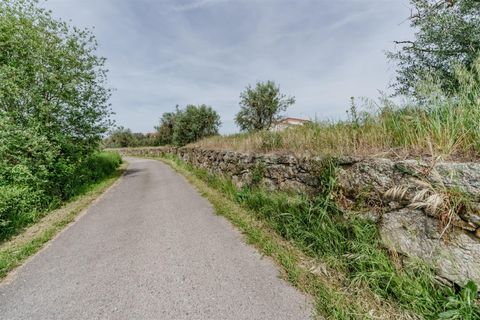 Helårsgrund i Belmonte, Castelo Branco, Belmonte - € 43.000 | Ref: 111260094 - foto 6