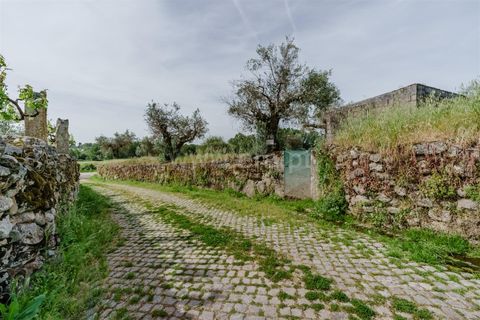 Helårsgrund i Belmonte, Castelo Branco, Belmonte - € 43.000 | Ref: 111260094 - foto 7