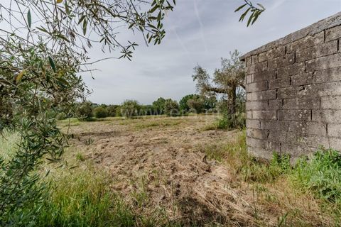 Helårsgrund i Belmonte, Castelo Branco, Belmonte - € 43.000 | Ref: 111260094 - foto 8