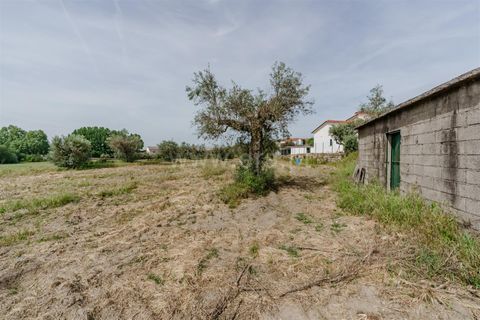 Helårsgrund i Belmonte, Castelo Branco, Belmonte - € 43.000 | Ref: 111260094 - foto 9