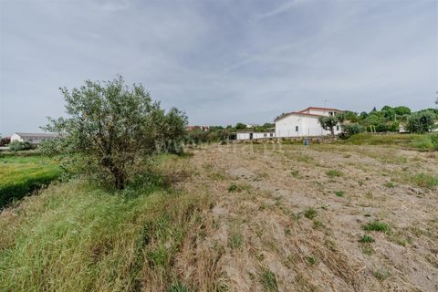Helårsgrund i Belmonte, Castelo Branco, Belmonte - € 43.000 | Ref: 111260094 - foto 11