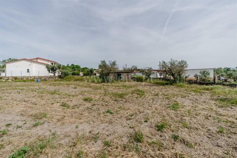 Helårsgrund i Belmonte, Castelo Branco, Belmonte - € 43.000 | Ref: 111260094 - foto 12