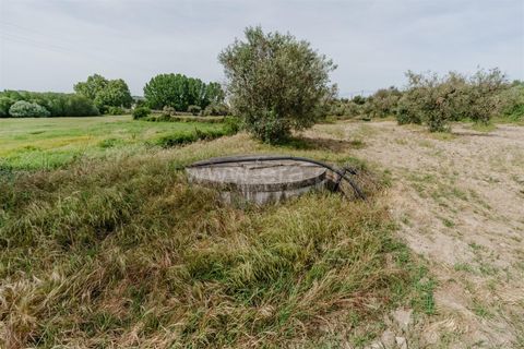 Helårsgrund i Belmonte, Castelo Branco, Belmonte - € 43.000 | Ref: 111260094 - foto 13