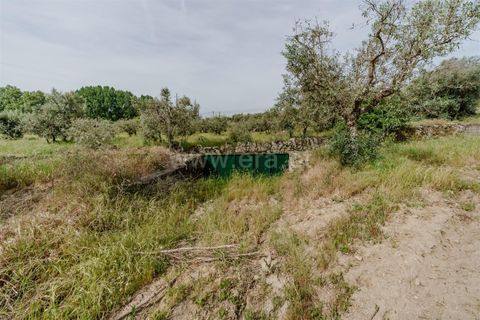 Helårsgrund i Belmonte, Castelo Branco, Belmonte - € 43.000 | Ref: 111260094 - foto 14